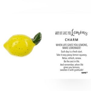 NEW GANZ When Life Gives You Lemons Charm for Graduation or Birthday 3 for $20